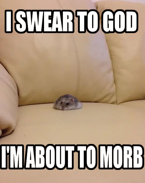 Morbius Memes - it's morbin time - hampter meme - Iswear To God I'M About To Morb