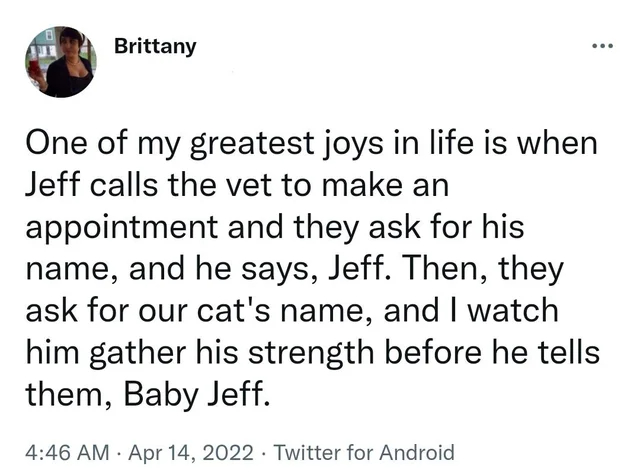 wholesome posts - uplifting news - point - 8 Brittany One of my greatest joys in life is when Jeff calls the vet to make an appointment and they ask for his name, and he says, Jeff. Then, they ask for our cat's name, and I watch him gather his strength be