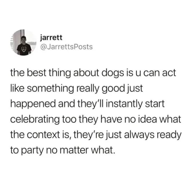 wholesome posts - uplifting news - dogs always down to party - jarrett the best thing about dogs is u can act something really good just happened and they'll instantly start celebrating too they have no idea what the context is, they're just always ready 