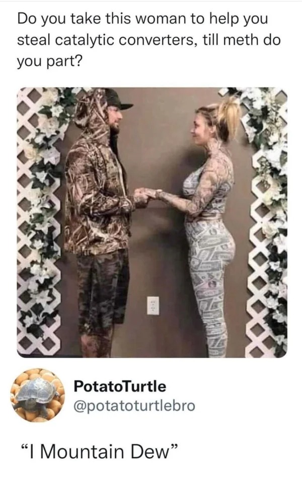 funny comments - catalytic converter theft meme - Do you take this woman to help you steal catalytic converters, till meth do you part? 44 PotatoTurtle "I Mountain Dew"