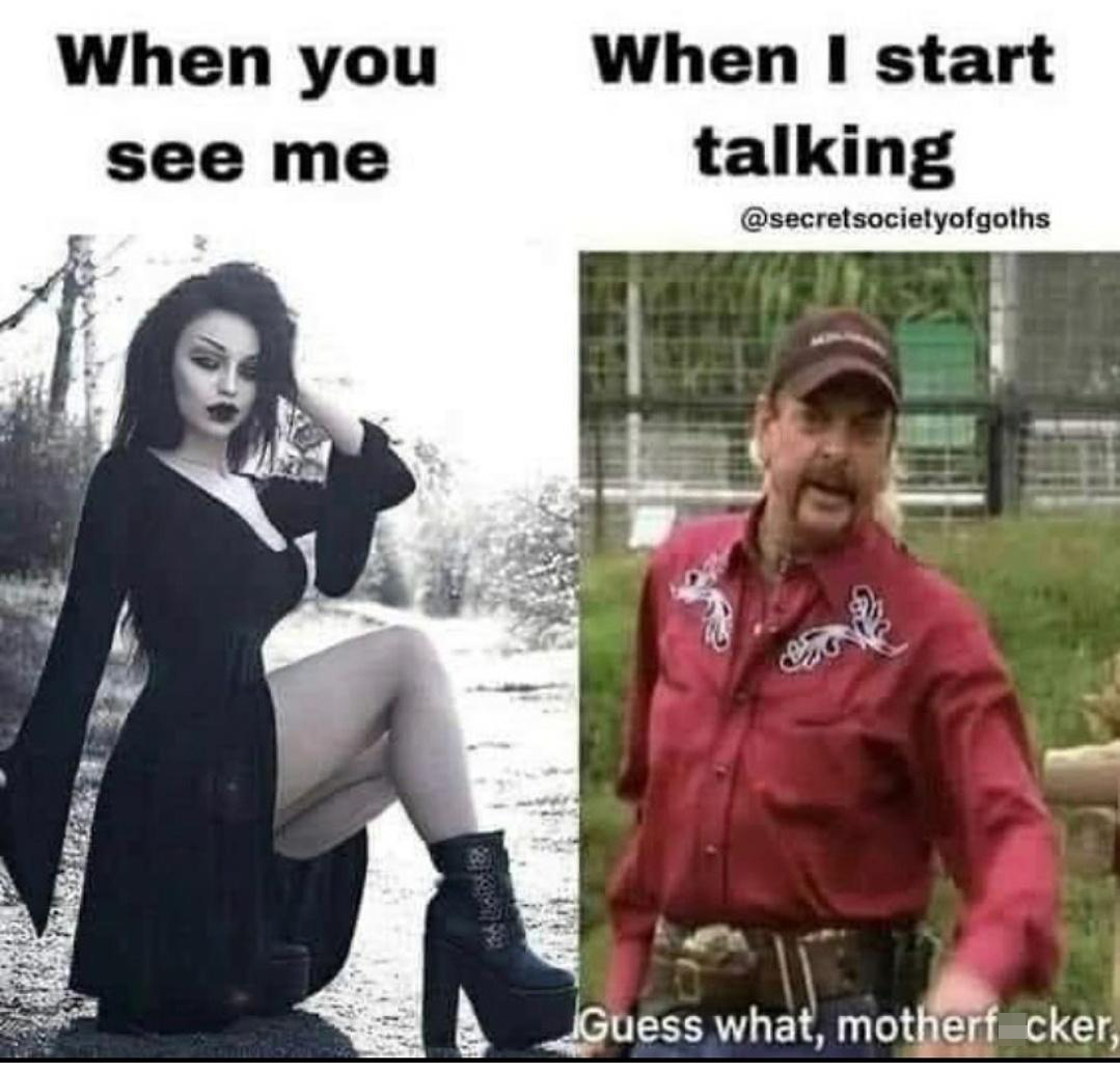 monday morning randomness - you see me when i start talking meme - When you see me When I start talking Guess what, motherf cker,