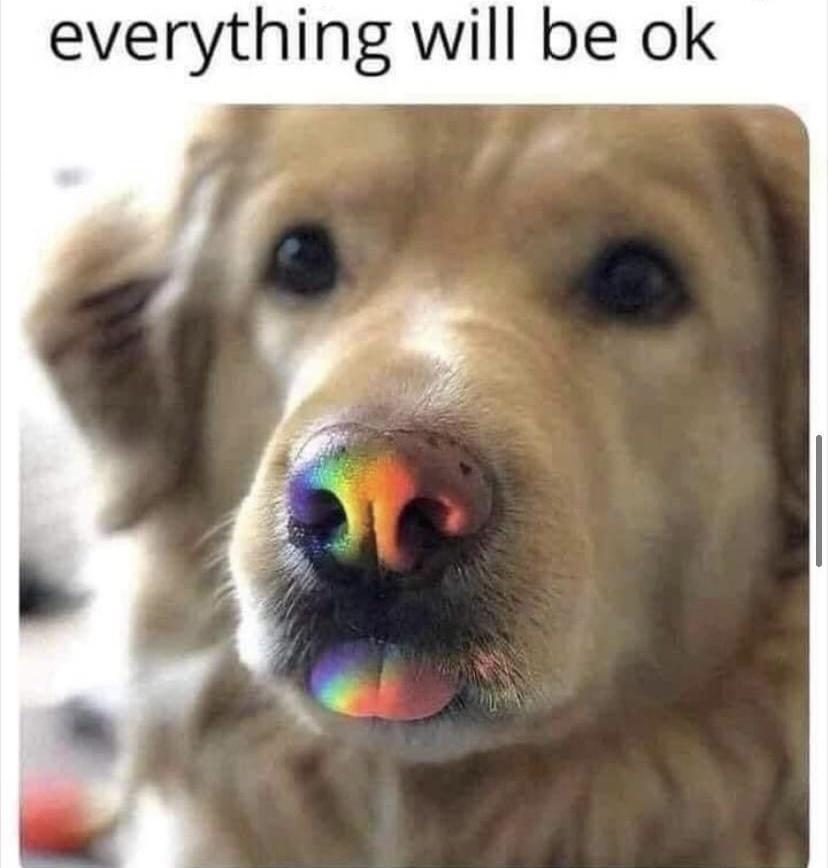 monday morning randomness - rainbow dog nose - everything will be ok.