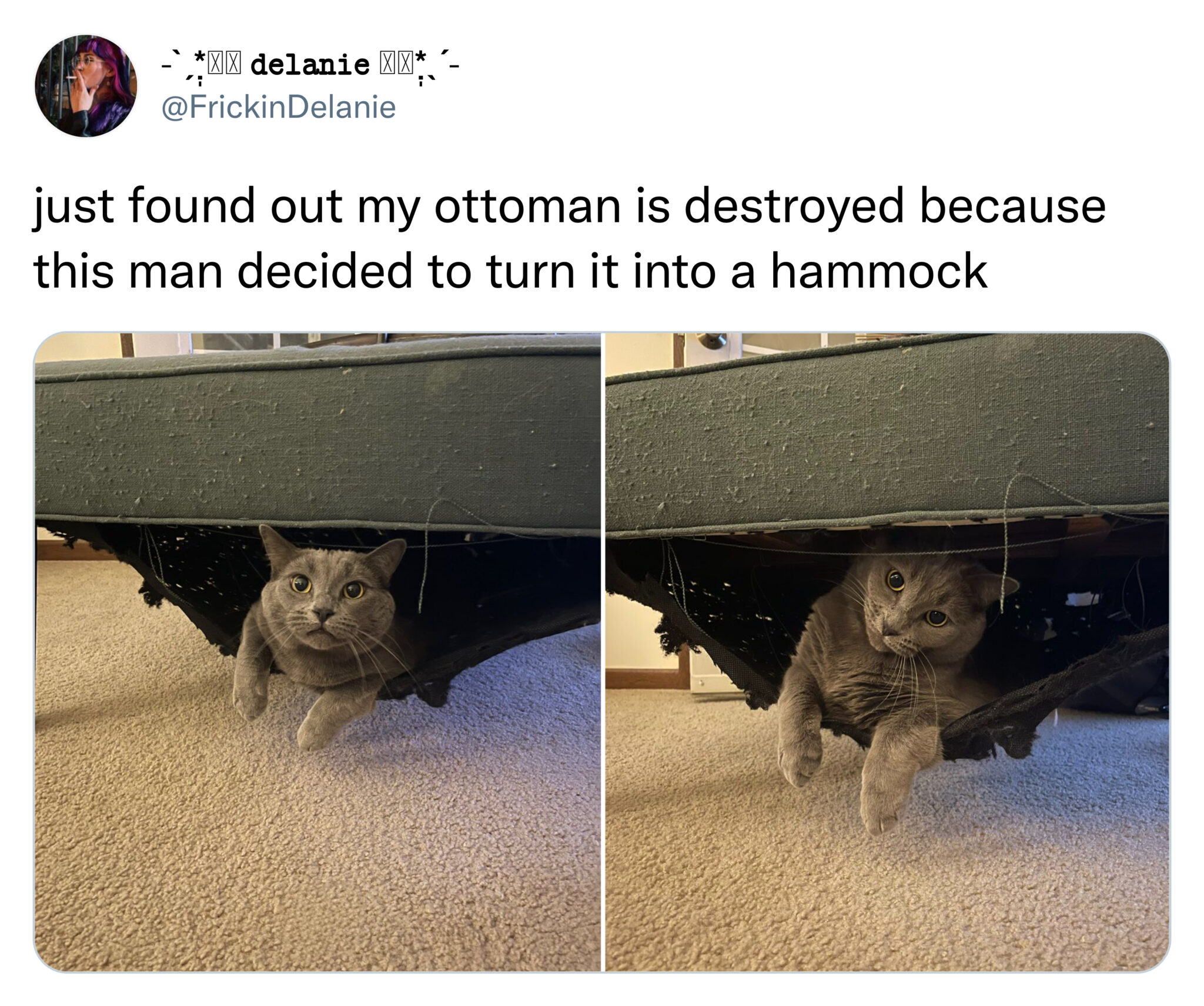 funny tweets  -  vehicle - Xx delanie Xx just found out my ottoman is destroyed because this man decided to turn it into a hammock