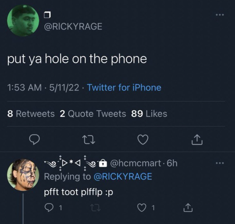 Unhinged Tweets - screenshot - put ya hole on the phone 51122 Twitter for iPhone 8 2 Quote Tweets 89 27 6h >