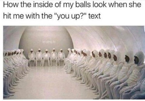 spicy memes - does the inside of my balls look like - How the inside of my balls look when she hit me with the "you up?" text Ini yng lo 000