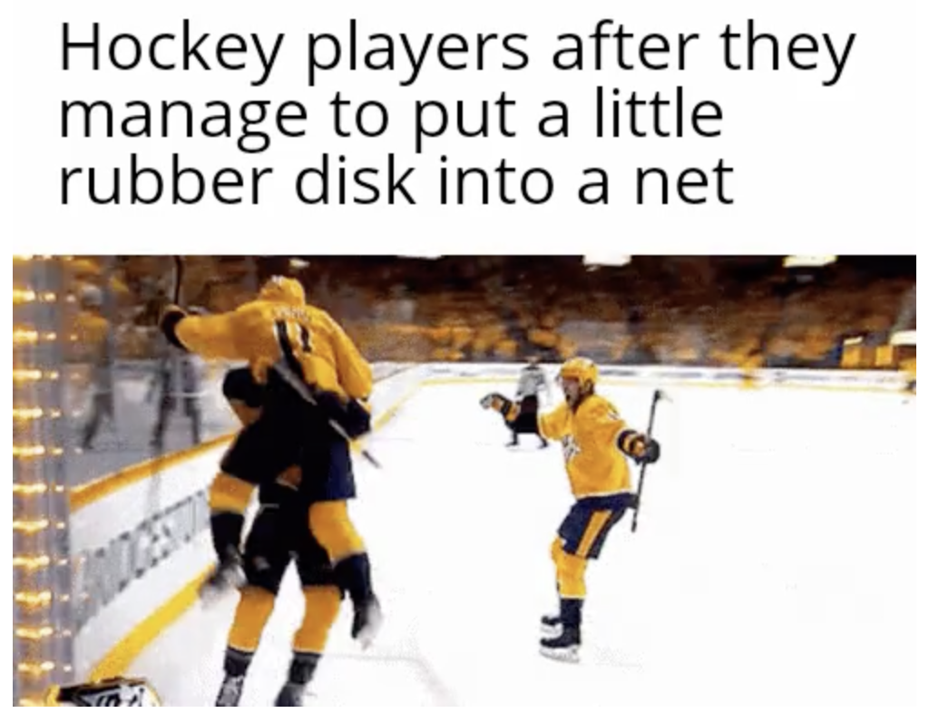 Anti-Memes - Hockey players after they manage to put a little rubber disk into a net
