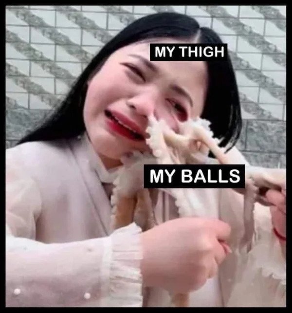 dirty memes - Octopus - My Thigh My Balls