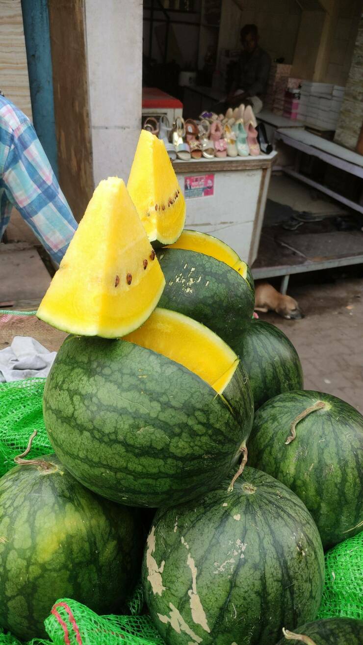 cool pics - watermelon