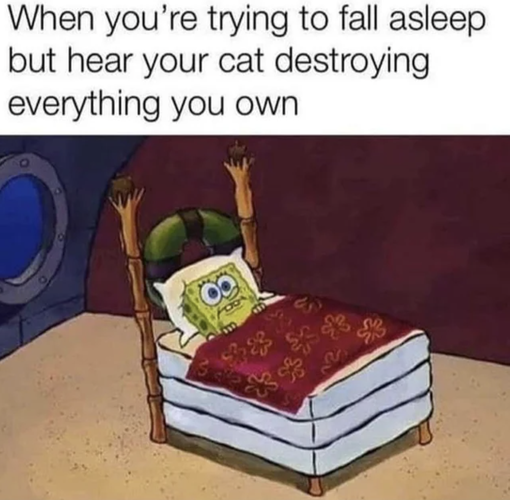 Dank Memes - wide awake gif - When you're trying to fall asleep but hear your cat destroying everything you own
