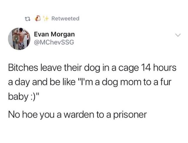 awesome pics and memes - worst feeling is when you find out you didn t mean as much to someone as you thought you did and you look so stupid for caring - t Retweeted Evan Morgan Bitches leave their dog in a cage 14 hours a day and be "I'm a dog mom to a f