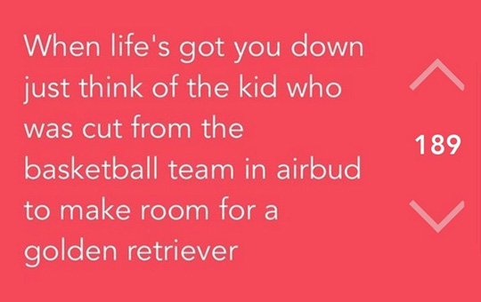 awesome pics and memes - not everyone will agree with you - When life's got you down just think of the kid who was cut from the basketball team in airbud to make room for a golden retriever 189