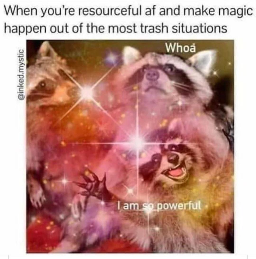 wholesome raccoon memes - When you're resourceful af and make magic happen out of the most trash situations Whoa I am so powerful .mystic