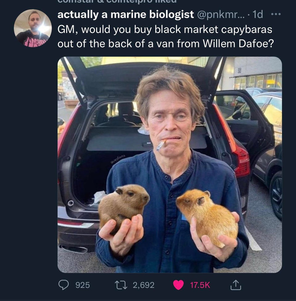 willem dafoe holding two oranges one of them moldy - ... actually a marine biologist ... 1d Gm, would you buy black market capybaras out of the back of a van from Willem Dafoe? 925 2,692