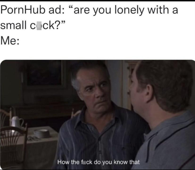 photo caption - PornHub ad "are you lonely with a small cock?" Me How the fuck do you know that