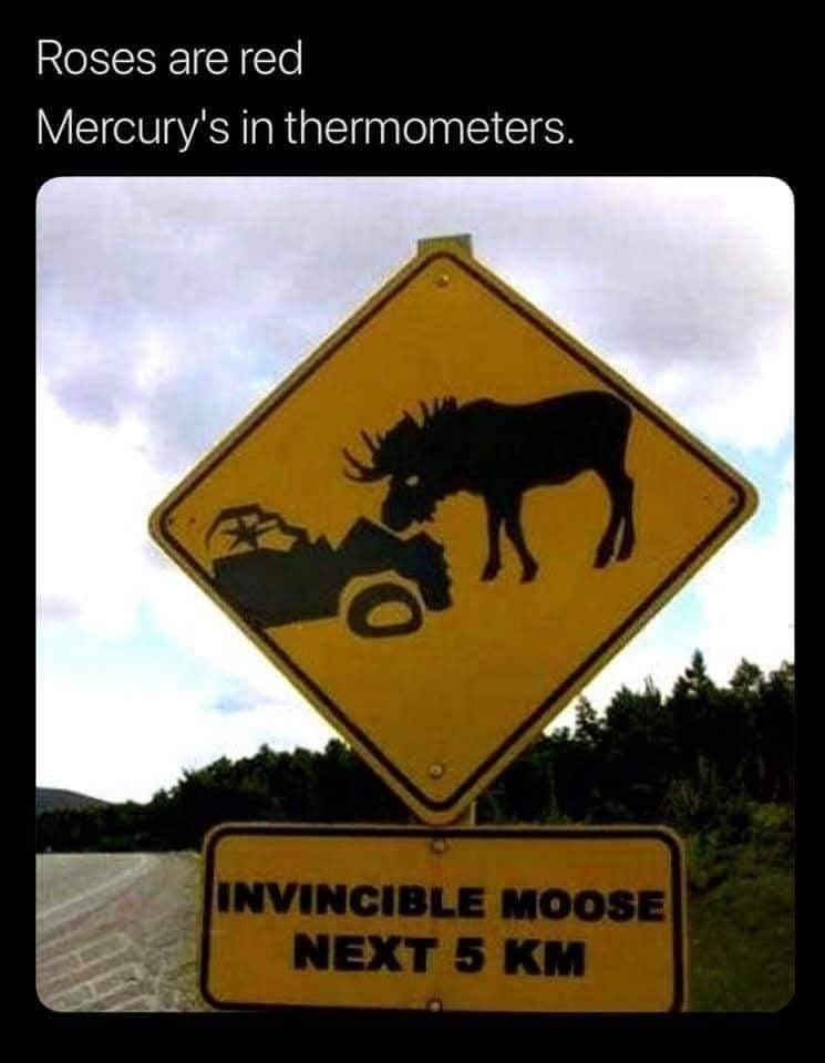 monday morning randomness - invincible moose - Roses are red Mercury's in thermometers. Invincible Moose Next 5 Km