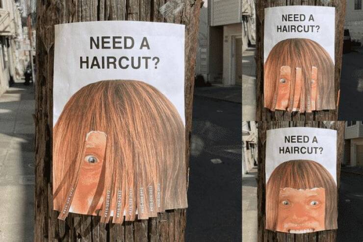monday morning randomness - perfect doesn t exist meme - Need A Haircut? Need A Haircut? Need A Haircut? 2031 Zitens Sim Mais3242412 Sederskive Rive Foc Siv ZarenesSa Calderas Sup