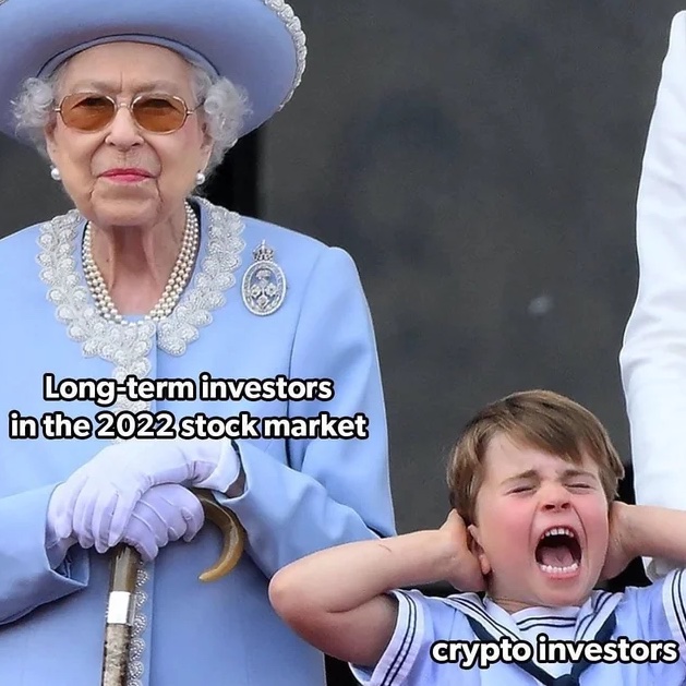 crypto crash memes - prince louis platinum jubilee - Longterm investors in the 2022 stock market crypto investors