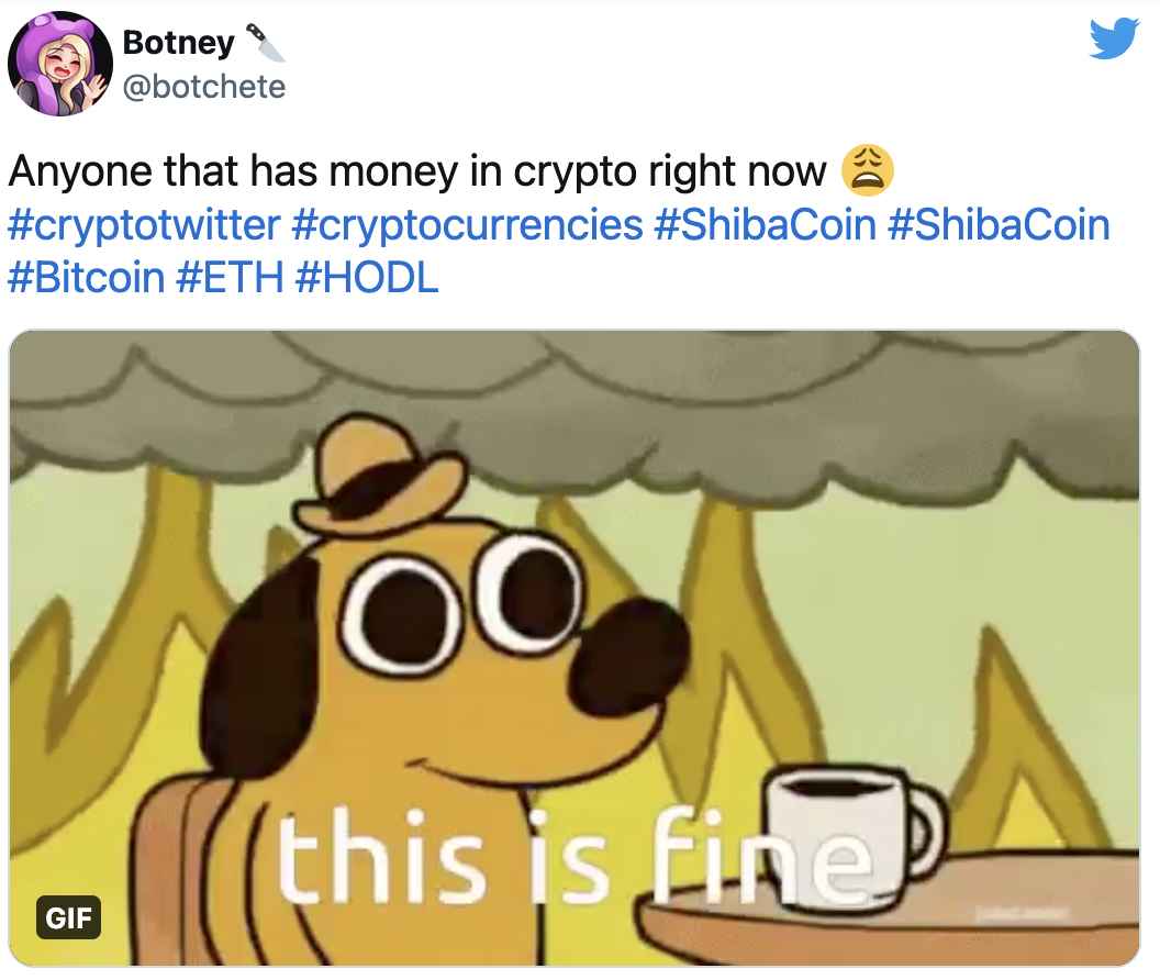 crypto crash memes - meme dog it's fine - Botney Anyone that has money in crypto right now this is fine Gif