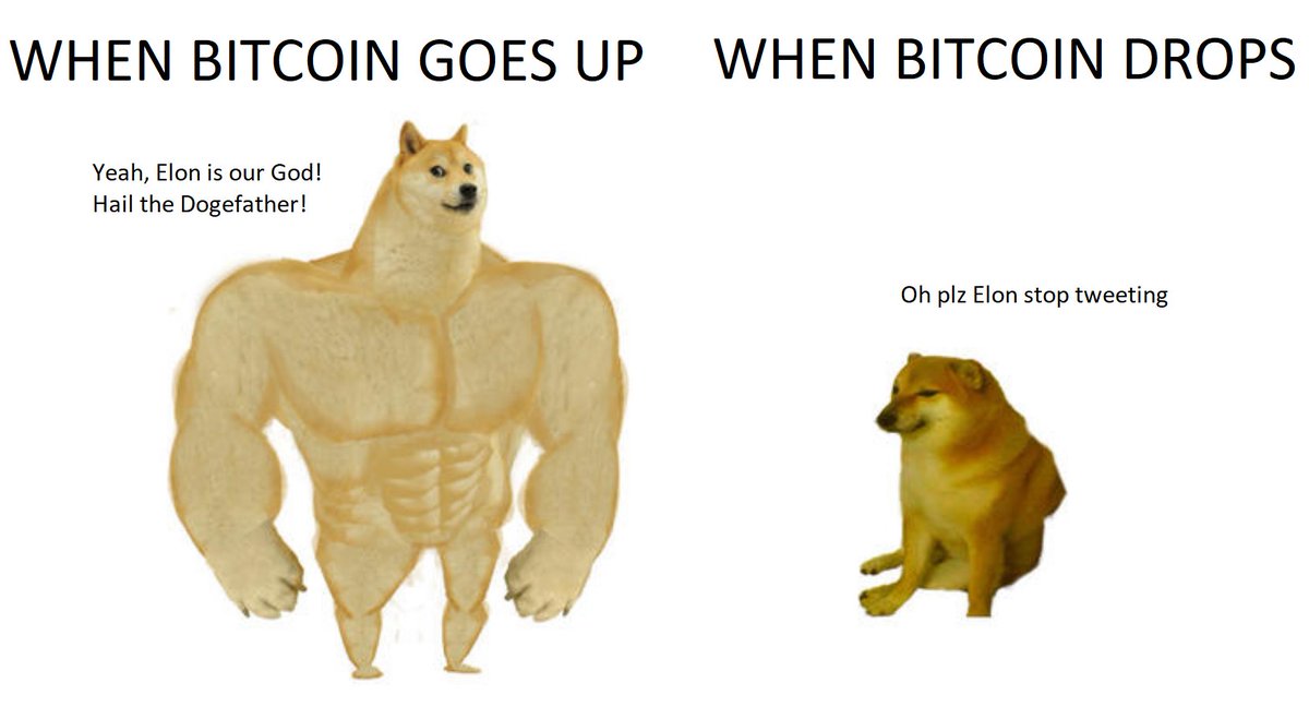 crypto crash memes - cheemsburger meme - When Bitcoin Goes Up When Bitcoin Drops Yeah, Elon is our God! Hail the Dogefather! Oh plz Elon stop tweeting
