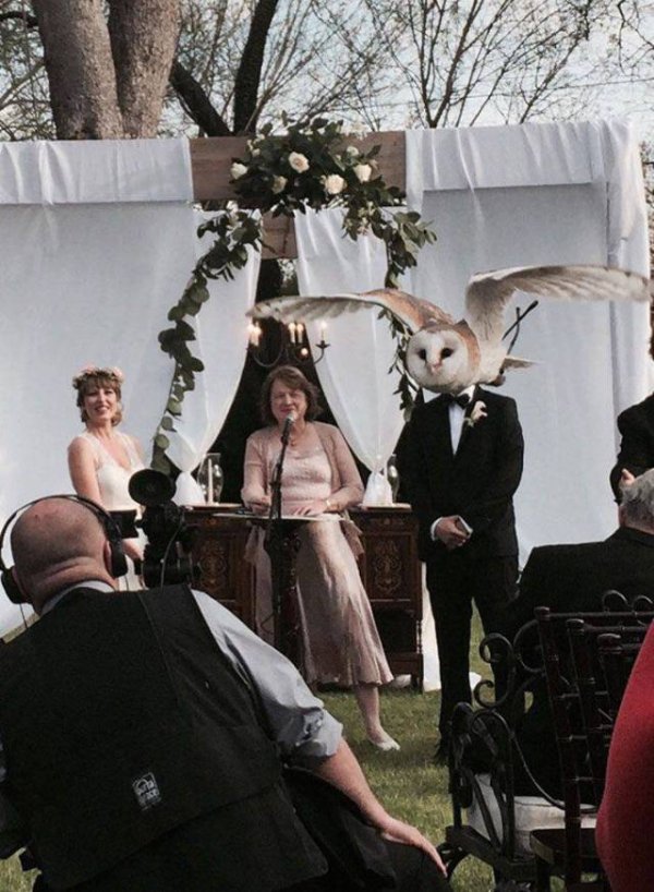 perfectly timed photos -  wedding photobomb - xe