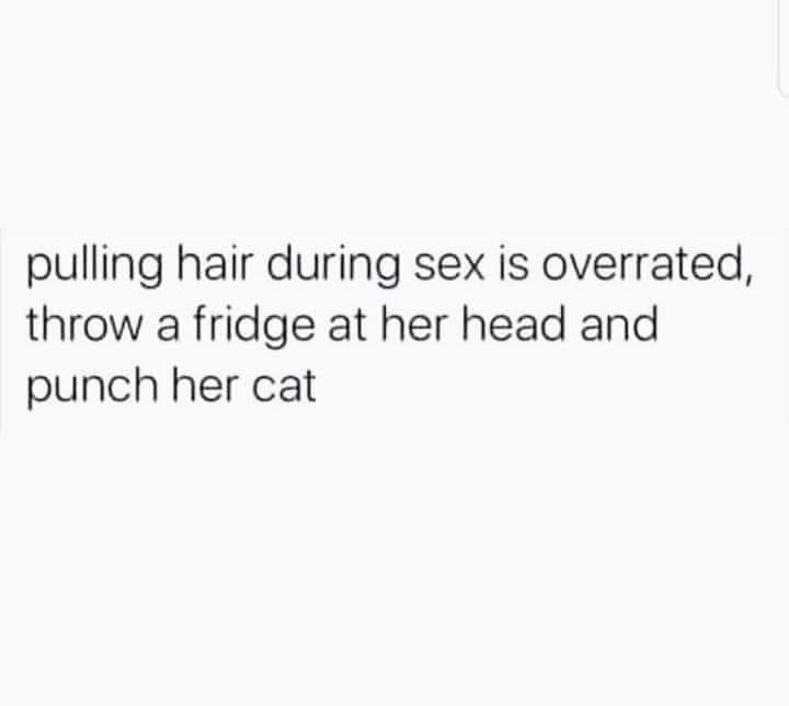 dirty and nsfw memes - will all make sense one day - pulling hair during sex is overrated, throw a fridge at her head and punch her cat