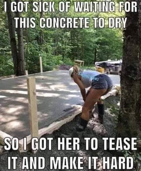 dirty and nsfw memes - tree - I Got Sick Of Waiting For This Concrete To Dry Heme Wing So I Got Her To Tease It And Make It Hard
