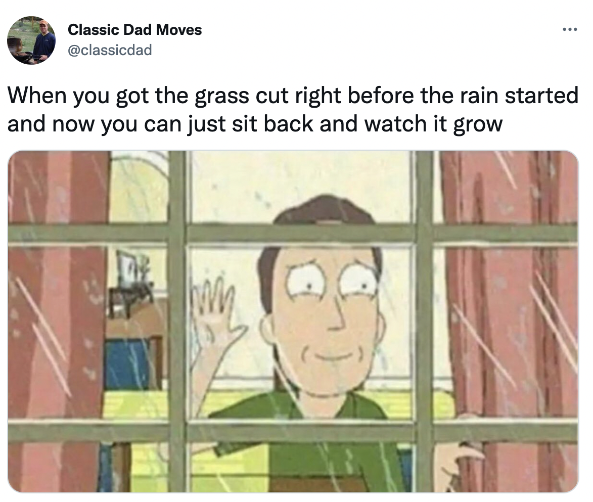 Dank Dad Memes - you see people online who like - Classic Dad Moves When you got the grass cut right before the rain started and now you can just sit back and watch it grow w