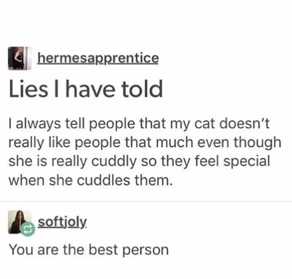wholesome pics - posts to make people happy - hermesapprentice Lies I have told I always tell people that my cat doesn't really people that much even though she is really cuddly so they feel special when she cuddles them. softjoly You are the best person