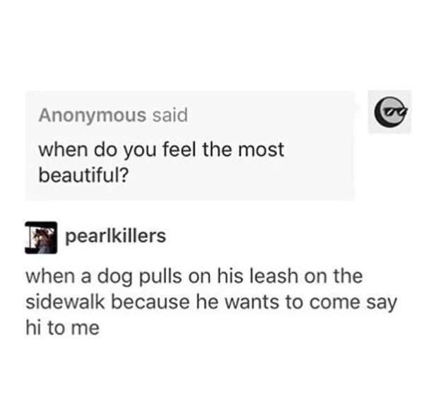 wholesome pics - do you feel the most beautiful - Anonymous said G when do you feel the most beautiful? pearlkillers when a dog pulls on his leash on the sidewalk because he wants to come say hi to me
