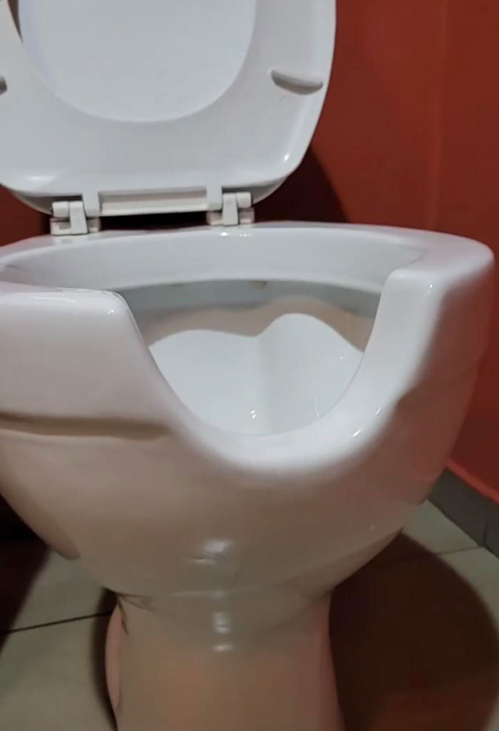 fascinating photos - toilet seat
