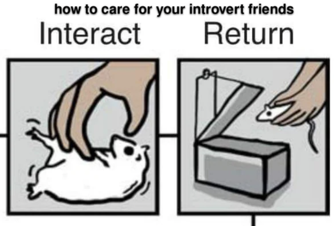 Dank and Fresh Memes - cartoon - how to care for your introvert friends Interact Return