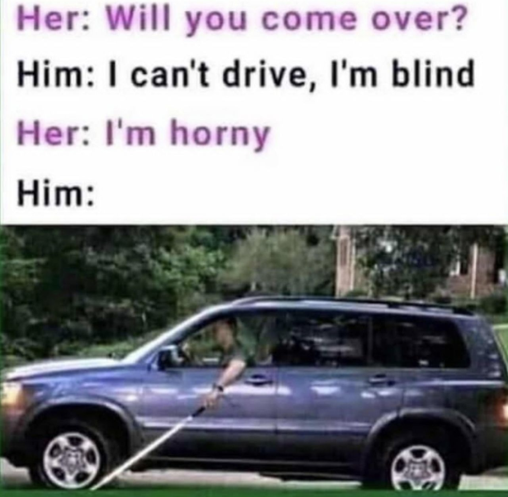 Dank and Fresh Memes - come over im blind meme - Her Will you come over? Him I can't drive, I'm blind Her I'm horny Him