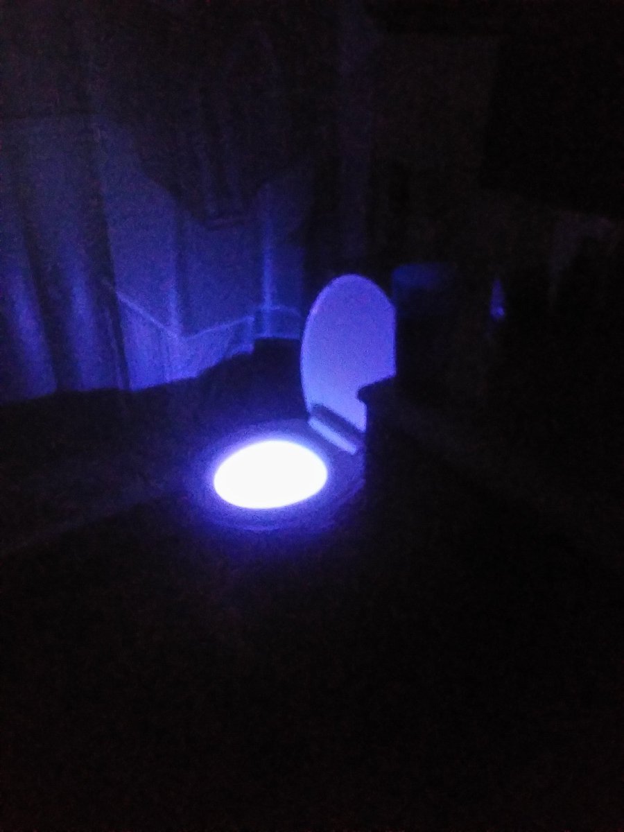 Oddly Terrifying Toilets - light