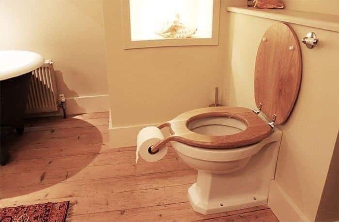 Oddly Terrifying Toilets - bog toilet