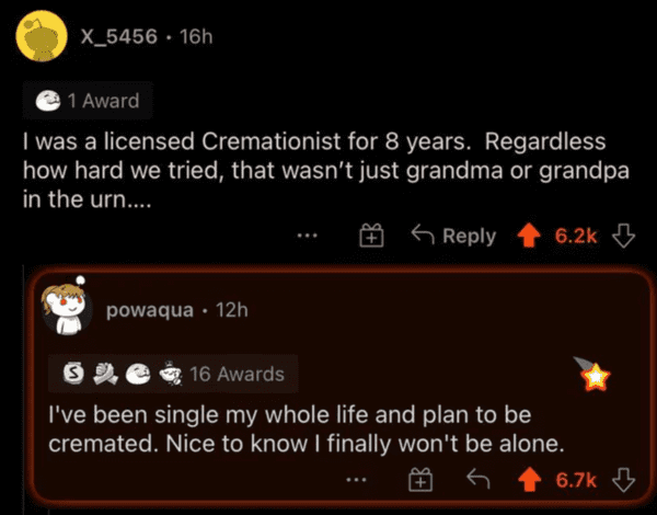 funny comments that hit the mark - screenshot - X_5456 16h . 1 Award I was a licensed Cremationist for 8 years. Regardless how hard we tried, that wasn't just grandma or grandpa in the urn.... powaqua. 12h 16 Awards I've been single my whole life and plan