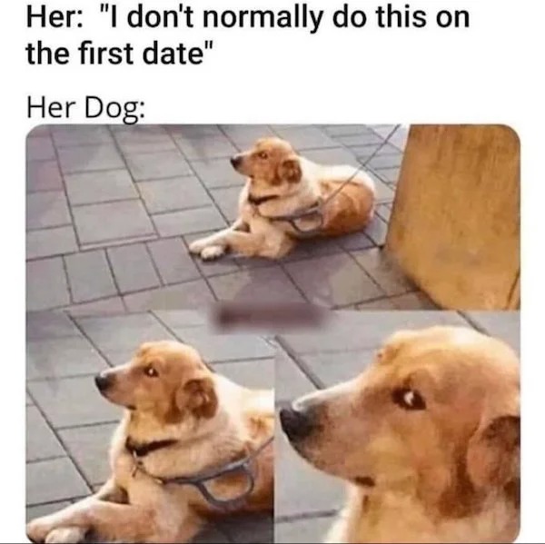 don t usually do this dog meme - Her "I don't normally do this on the first date" Her Dog