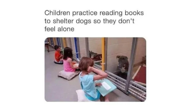 wholesome - uplifting - Children practice reading books to shelter dogs so they don't feel alone