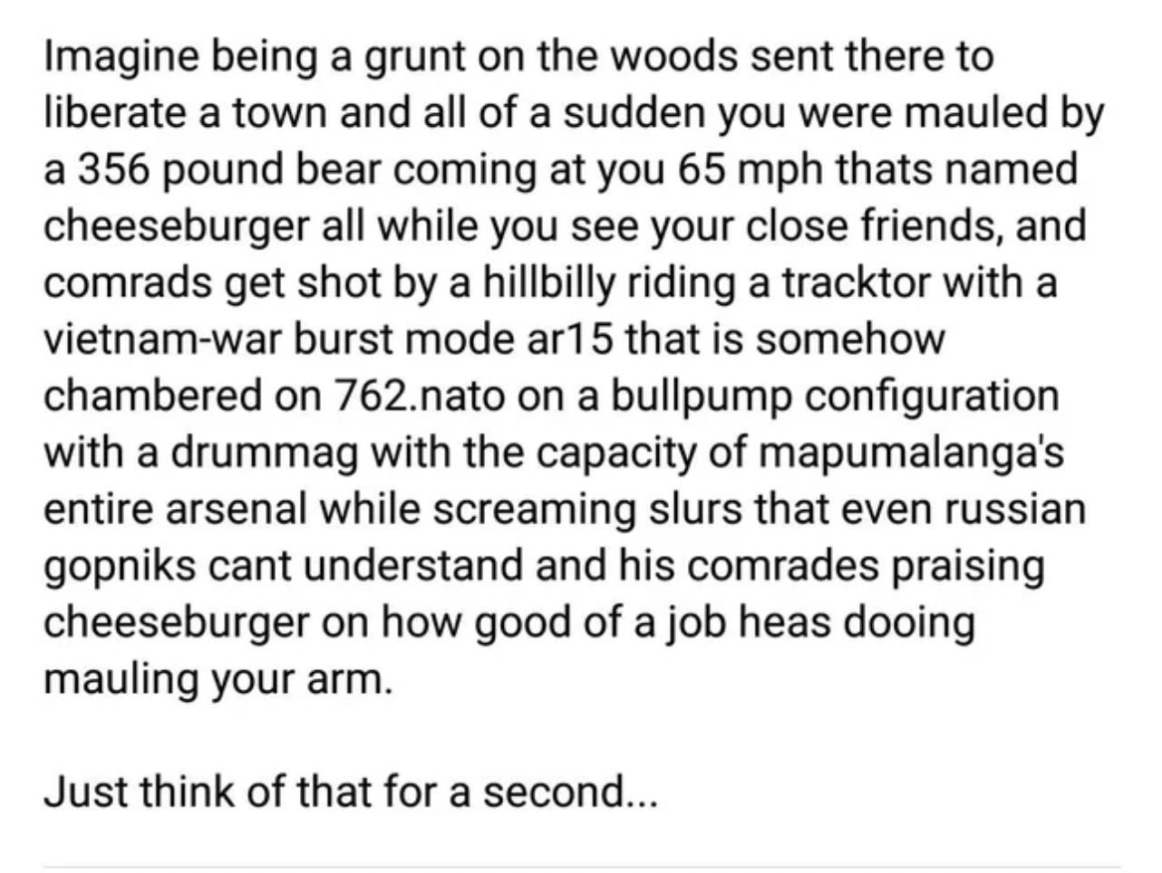 Oddly Specific Pictures - Imagine being a grunt on the woods sent there to liberate a town and all of a sudden you were mauled by a 356 pound bear coming at you 65 mph thats named cheeseburger all while you see your close friends, and comrads get shot by