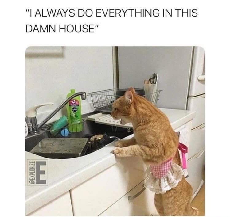 funny memes - nobody ever helps me in this house - "I Always Do Everything In This Damn House" 204