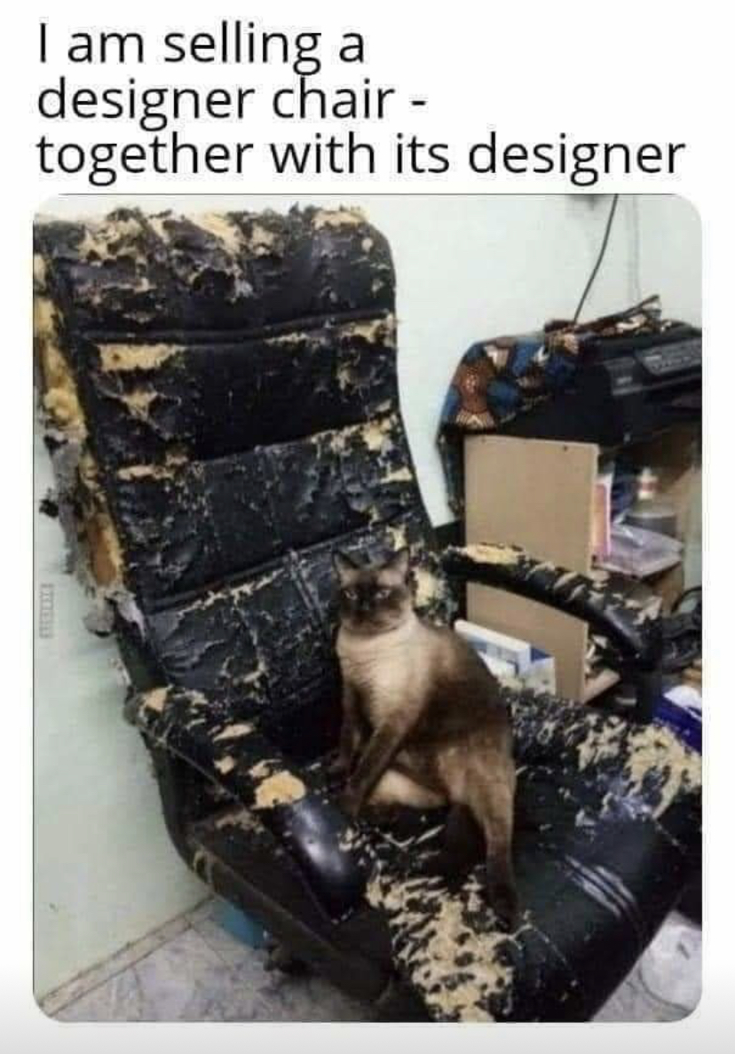funny memes - selling designer chair with designer - I am selling a designer chair together with its designer