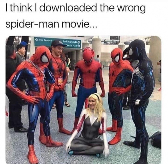 spider man movie meme - I think I downloaded the wrong spiderman movie... The Terrace Parking C&D antia Hall