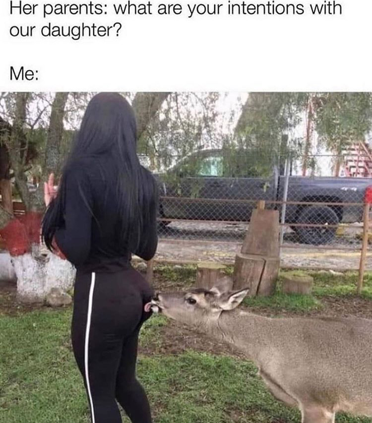 photo caption - Her parents what are your intentions with our daughter? Me