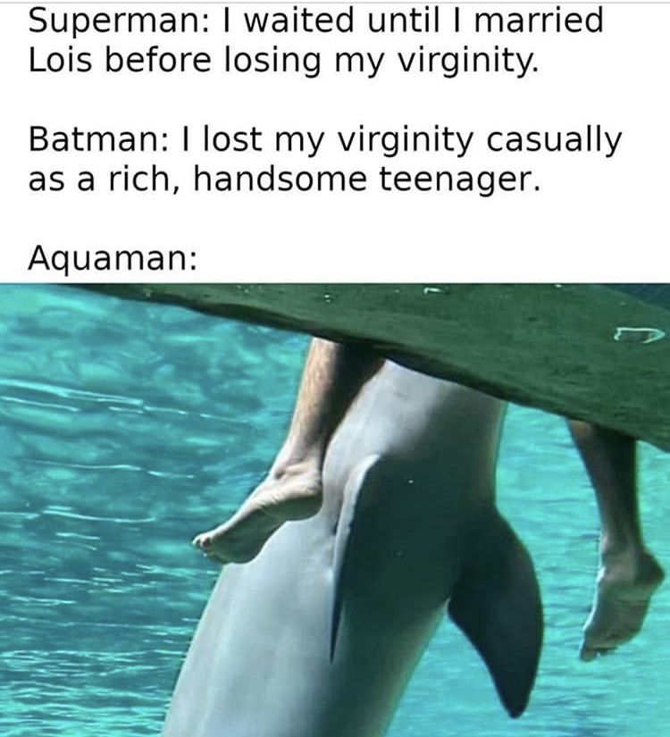dolphin noises meme - Superman I waited until I married Lois before losing my virginity. Batman I lost my virginity casually as a rich, handsome teenager. Aquaman
