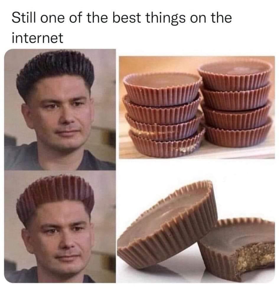 monday morning randomness - pauly d reese's hair - Still one of the best things on the internet