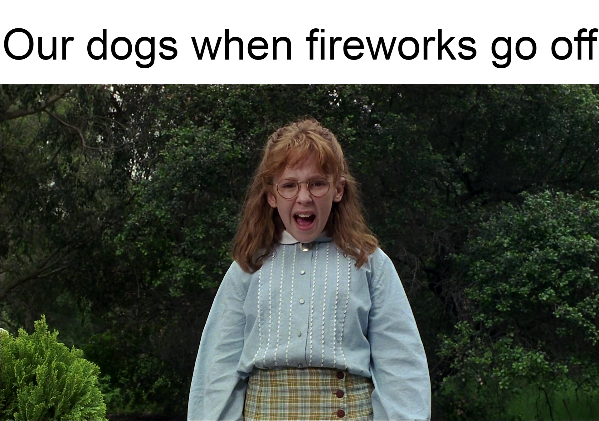 monday morning randomness - girl - Our dogs when fireworks go off