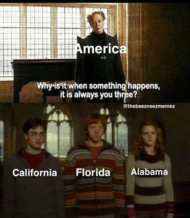 monday morning randomness - harry potter florida meme - America Why is it when something happens, it is always you thre? California Fan Florida Alabama