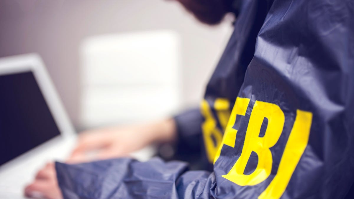 FBI Facts - law enforcement cyber - Bi