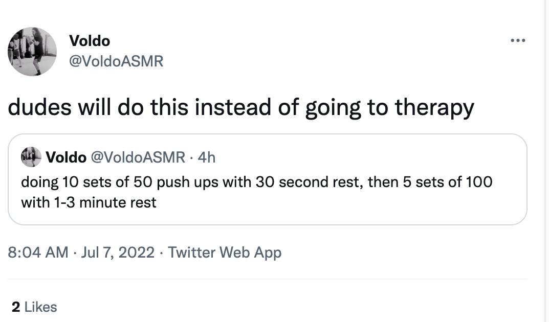 Things men do instead of going to therapy - angle - Voldo dudes will do this instead of going to therapy Voldo 4h . doing 10 sets of 50 push ups with 30 second rest, then 5 sets of 100 with 13 minute rest 2 . Twitter Web App ...