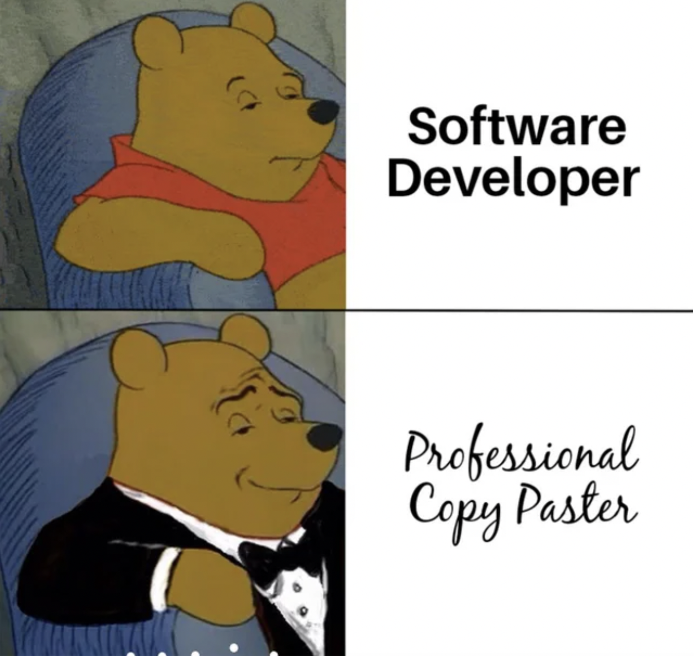 Dank Memes - pest control memes - Software Developer Professional Copy Paster