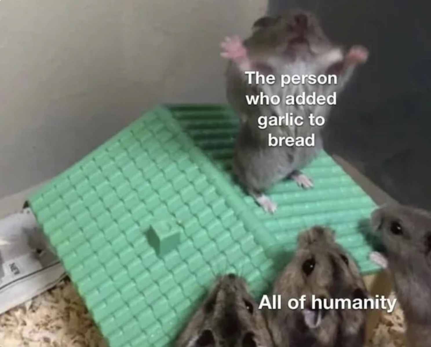 Dank Memes - hamster preaching - 5 The person who added garlic to bread All of humanity